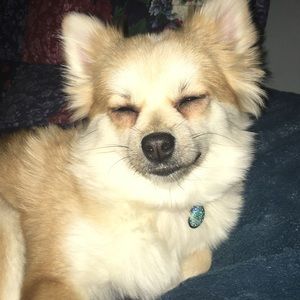 Meet your Posher, Trevon